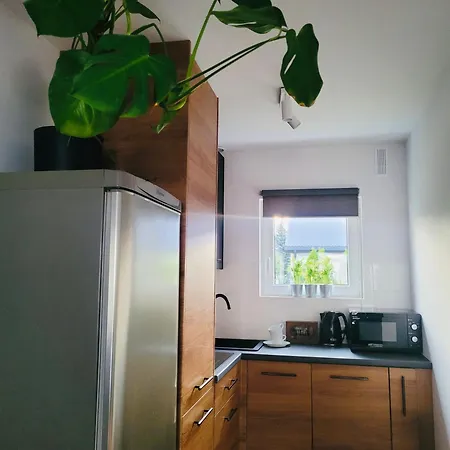 公寓 Zielona Mysłakowice